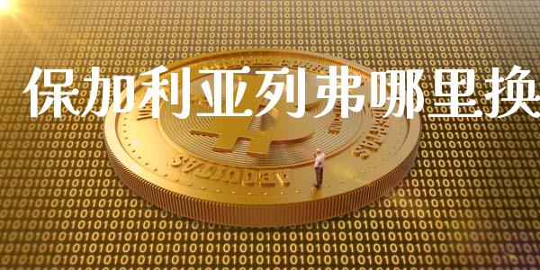 保加利亚列弗哪里换_https://m.gongyisiwang.com_财经咨询_第1张