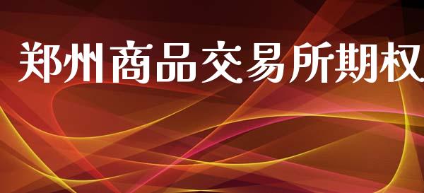 郑州商品交易所期权_https://m.gongyisiwang.com_债券咨询_第1张