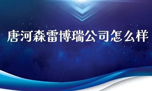 唐河森雷博瑞公司怎么样_https://m.gongyisiwang.com_债券咨询_第1张