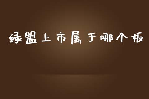 绿盟上市属于哪个板_https://m.gongyisiwang.com_理财投资_第1张