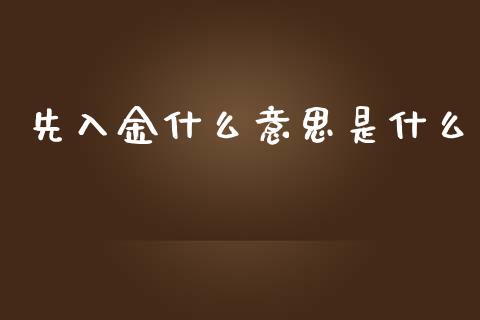 先入金什么意思是什么_https://m.gongyisiwang.com_债券咨询_第1张