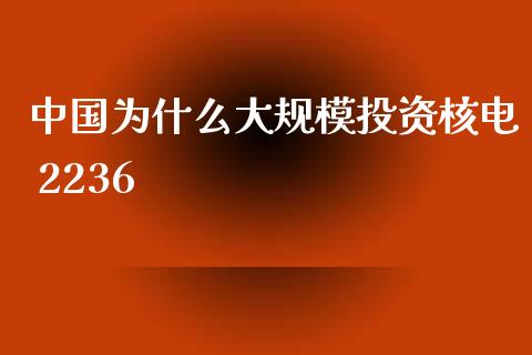 中国为什么大规模投资核电 2236_https://m.gongyisiwang.com_理财投资_第1张