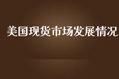 美国现货市场发展情况_https://m.gongyisiwang.com_理财投资_第1张