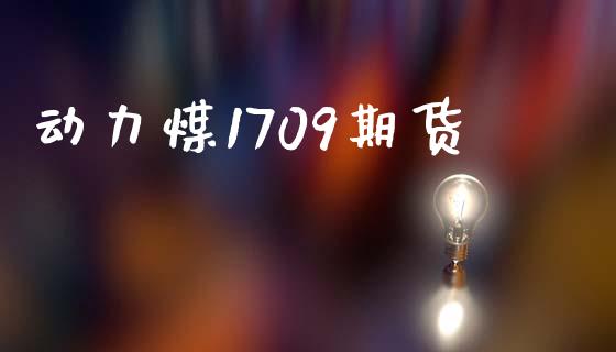 动力煤1709期货_https://m.gongyisiwang.com_理财投资_第1张