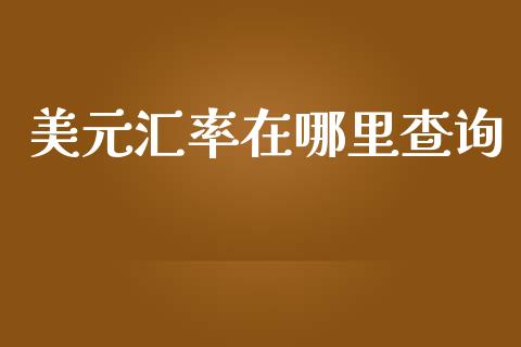 美元汇率在哪里查询_https://m.gongyisiwang.com_债券咨询_第1张