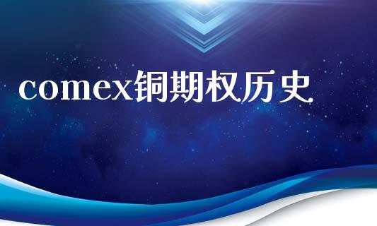 comex铜期权历史_https://m.gongyisiwang.com_债券咨询_第1张