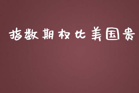 指数期权比美国贵_https://m.gongyisiwang.com_保险理财_第1张