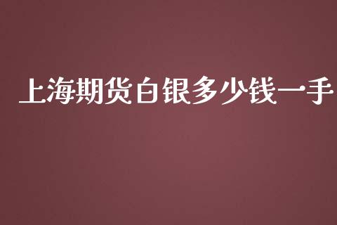 上海期货白银多少钱一手_https://m.gongyisiwang.com_商业资讯_第1张