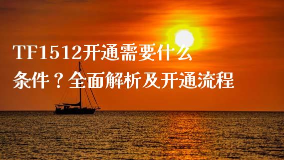 TF1512开通需要什么条件？全面解析及开通流程_https://m.gongyisiwang.com_理财产品_第1张