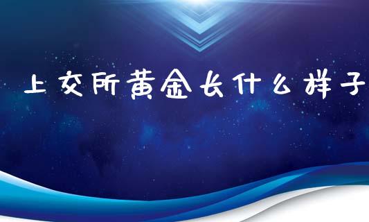 上交所黄金长什么样子_https://m.gongyisiwang.com_信托投资_第1张