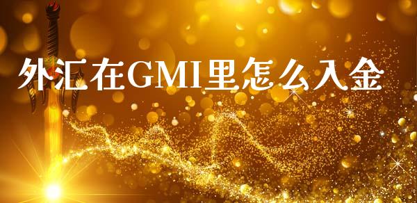 外汇在GMI里怎么入金_https://m.gongyisiwang.com_理财产品_第1张