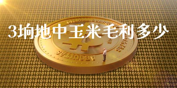 3垧地中玉米毛利多少_https://m.gongyisiwang.com_商业资讯_第1张