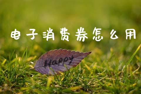 电子消费券怎么用_https://m.gongyisiwang.com_保险理财_第1张