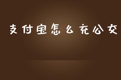 支付宝怎么充公交_https://m.gongyisiwang.com_债券咨询_第1张