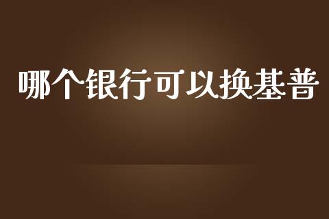 哪个银行可以换基普_https://m.gongyisiwang.com_保险理财_第1张