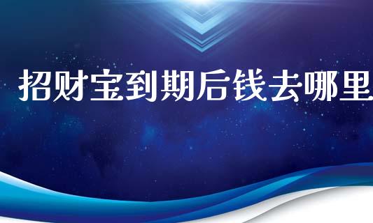 招财宝到期后钱去哪里_https://m.gongyisiwang.com_债券咨询_第1张