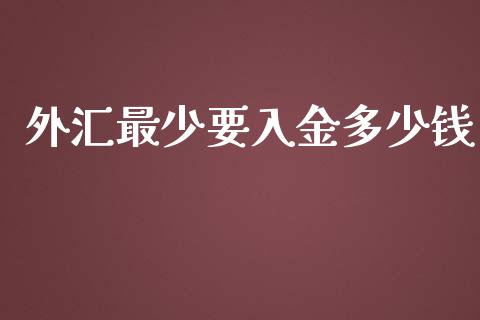 外汇最少要入金多少钱_https://m.gongyisiwang.com_理财投资_第1张