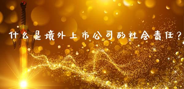 什么是境外上市公司的社会责任？_https://m.gongyisiwang.com_债券咨询_第1张
