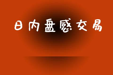 日内盘感交易_https://m.gongyisiwang.com_信托投资_第1张