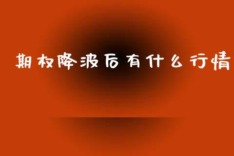 期权降波后有什么行情_https://m.gongyisiwang.com_信托投资_第1张