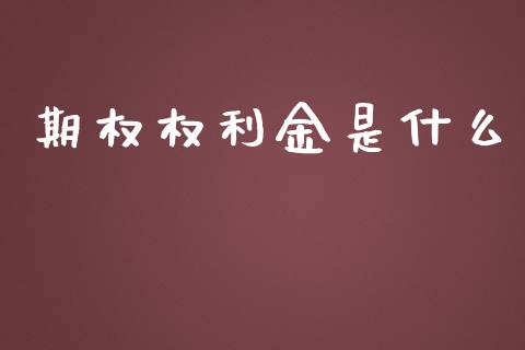 期权权利金是什么_https://m.gongyisiwang.com_信托投资_第1张