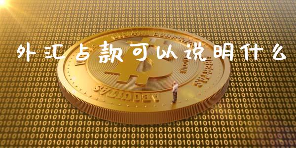 外汇占款可以说明什么_https://m.gongyisiwang.com_债券咨询_第1张