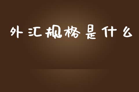 外汇规格是什么_https://m.gongyisiwang.com_财经时评_第1张