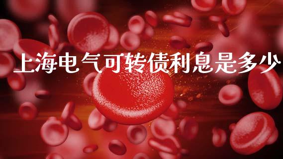 上海电气可转债利息是多少_https://m.gongyisiwang.com_保险理财_第1张