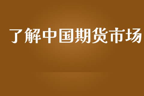 了解中国期货市场_https://m.gongyisiwang.com_商业资讯_第1张