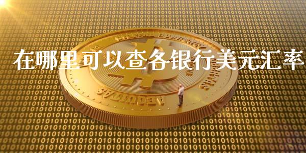 在哪里可以查各银行美元汇率_https://m.gongyisiwang.com_财经咨询_第1张