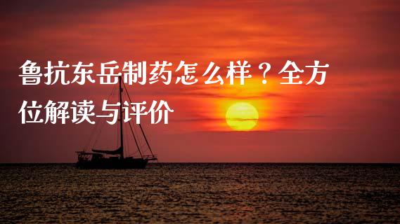鲁抗东岳制药怎么样？全方位解读与评价_https://m.gongyisiwang.com_理财产品_第1张