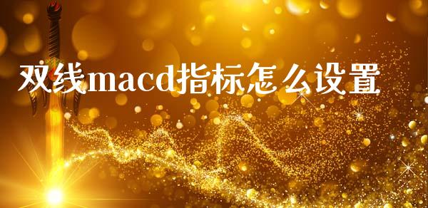 双线macd指标怎么设置_https://m.gongyisiwang.com_财经咨询_第1张