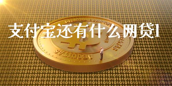 支付宝还有什么网贷l_https://m.gongyisiwang.com_商业资讯_第1张