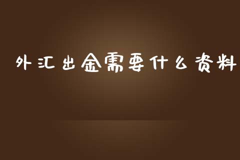 外汇出金需要什么资料_https://m.gongyisiwang.com_财经咨询_第1张