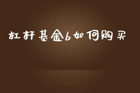 杠杆基金b如何购买_https://m.gongyisiwang.com_保险理财_第1张