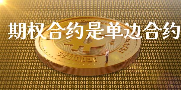 期权合约是单边合约_https://m.gongyisiwang.com_理财投资_第1张