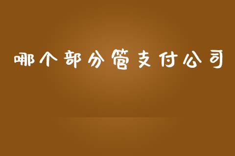 哪个部分管支付公司_https://m.gongyisiwang.com_理财产品_第1张