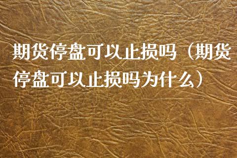 期货停盘可以止损吗（期货停盘可以止损吗为什么）_https://m.gongyisiwang.com_商业资讯_第1张