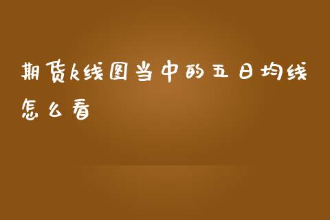 期货k线图当中的五日均线怎么看_https://m.gongyisiwang.com_信托投资_第1张