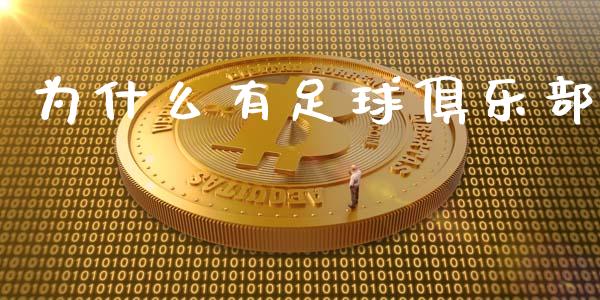 为什么有足球俱乐部_https://m.gongyisiwang.com_信托投资_第1张