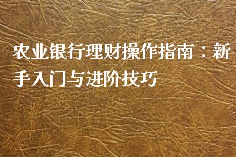 农业银行理财操作指南：新手入门与进阶技巧_https://m.gongyisiwang.com_理财产品_第1张