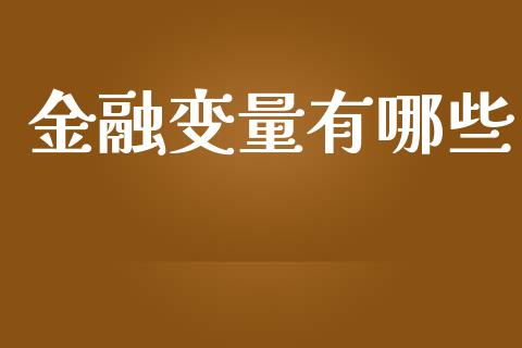 金融变量有哪些_https://m.gongyisiwang.com_商业资讯_第1张