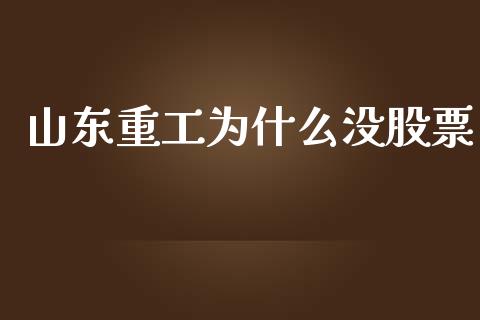 山东重工为什么没股票_https://m.gongyisiwang.com_债券咨询_第1张