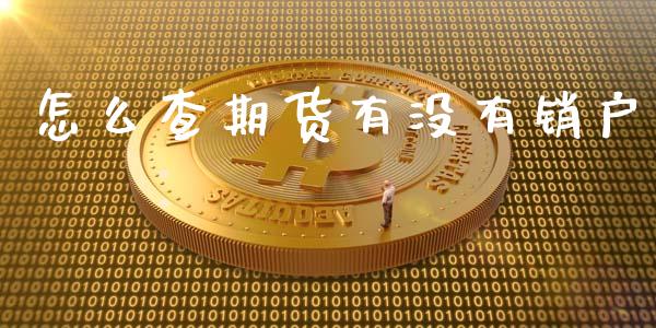 怎么查期货有没有销户_https://m.gongyisiwang.com_信托投资_第1张