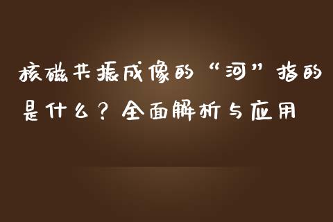 核磁共振成像的“河”指的是什么？全面解析与应用_https://m.gongyisiwang.com_信托投资_第1张