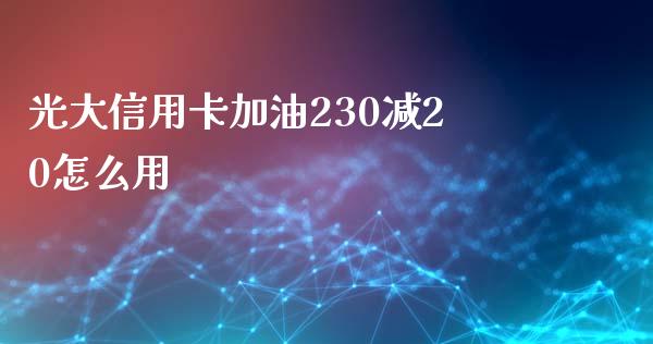 光大信用卡加油230减20怎么用_https://m.gongyisiwang.com_商业资讯_第1张