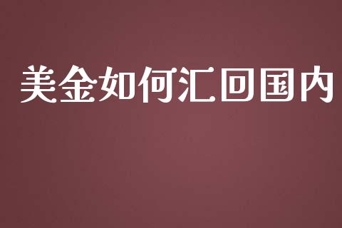 美金如何汇回国内_https://m.gongyisiwang.com_保险理财_第1张