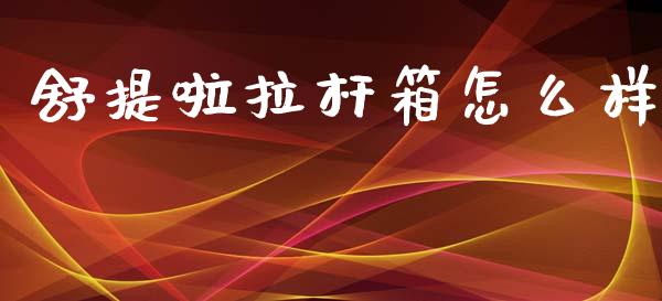 舒提啦拉杆箱怎么样_https://m.gongyisiwang.com_财经咨询_第1张