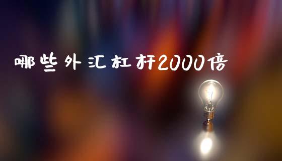 哪些外汇杠杆2000倍_https://m.gongyisiwang.com_财经时评_第1张