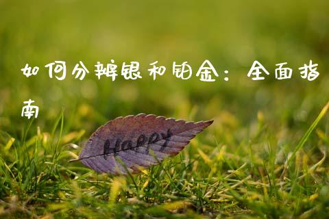 如何分辨银和铂金：全面指南_https://m.gongyisiwang.com_商业资讯_第1张